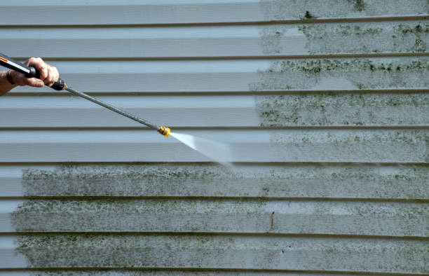 Pineland, TX Pressure Washing Services Company